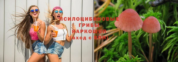 гидропоника Михайлов