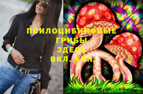 прущие грибы Михайловка