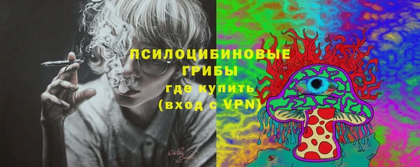 МДПВ Михайловск